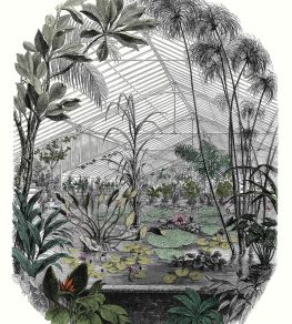 Jardin D'hiver Mural by Caselio Multicouleurs Jardin D'hiver Mural by Caselio Multicouleurs