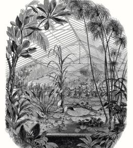 Jardin D'hiver Mural by Caselio Noir et Blanc