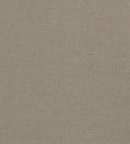 Paradiso Fabric by Clarke & Clarke Ash Paradiso Fabric by Clarke & Clarke Ash