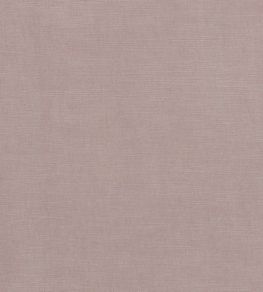 Paradiso Fabric by Clarke & Clarke Blush Paradiso Fabric by Clarke & Clarke Blush