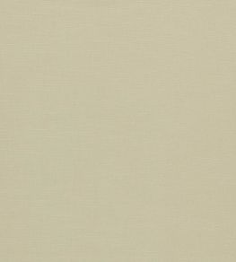 Paradiso Fabric by Clarke & Clarke Natural Paradiso Fabric by Clarke & Clarke Natural