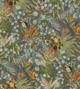Parrot Wallpaper by Jannelli&Volpi Charcoal Parrot Wallpaper by Jannelli&Volpi Charcoal