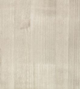 Paulownia Wallpaper by Zinc Moonbeam Paulownia Wallpaper by Zinc Moonbeam