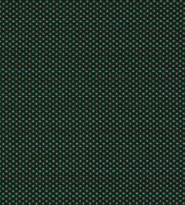 Pavo Fabric by Clarke & Clarke Forest