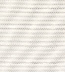 Pavo Fabric by Clarke & Clarke Natural Pavo Fabric by Clarke & Clarke Natural