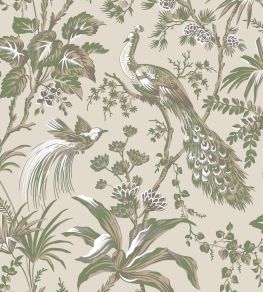 Peacock Toile Wallpaper by Anna French Green on Natural Peacock Toile Wallpaper by Anna French Green on Natural