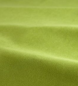 Performance Velvet Fabric by Harlequin Avocado Performance Velvet Fabric by Harlequin Avocado