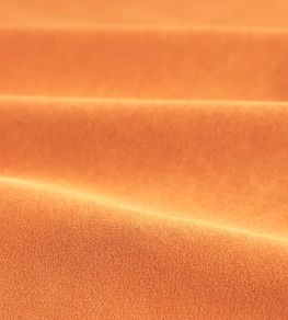 Performance Velvet Fabric by Harlequin Clementine Performance Velvet Fabric by Harlequin Clementine