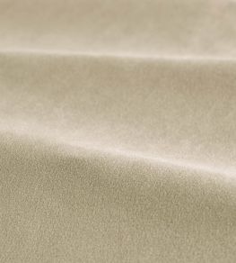 Performance Velvet Fabric by Harlequin Taupe Performance Velvet Fabric by Harlequin Taupe
