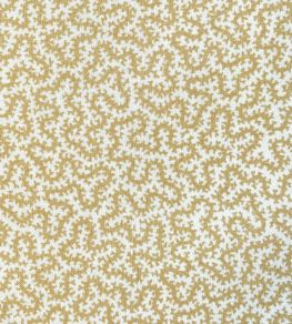 Petra Fabric by Ian Sanderson Popcorn Petra Fabric by Ian Sanderson Popcorn