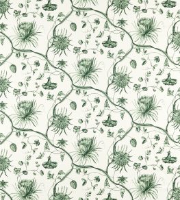 Phaedra Toile Fabric by Zoffany Huntsmans Green Phaedra Toile Fabric by Zoffany Huntsmans Green