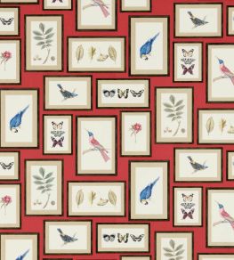 Picture Gallery Wallpaper by Sanderson Red/Multi Picture Gallery Wallpaper by Sanderson Red/Multi