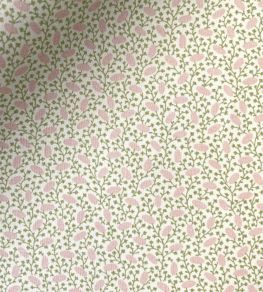 Pinto Fabric by Ian Sanderson Blossom Pinto Fabric by Ian Sanderson Blossom