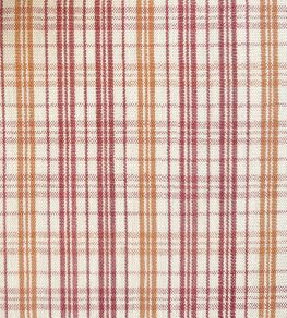 Pippin Check Fabric by Ian Sanderson Tamarind
