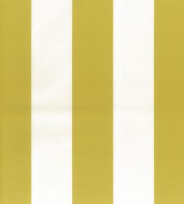 Pisa Stretto Fabric by Osborne & Little Chartreuse Pisa Stretto Fabric by Osborne & Little Chartreuse