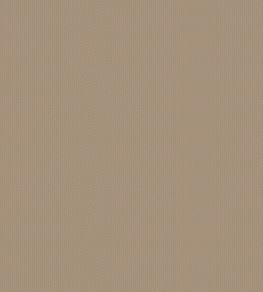 Playa Fabric by Warwick Camel