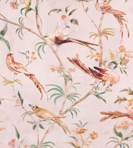 Pluma Fabric by Romo Blush Pluma Fabric by Romo Blush