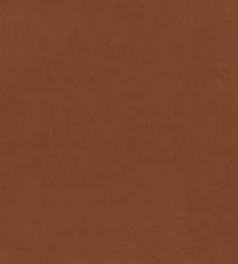 Plush Velvet Fabric by Warwick Apricot