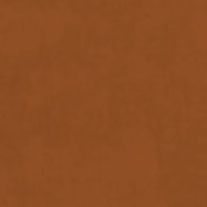Plush Velvet Fabric by Warwick Burnt