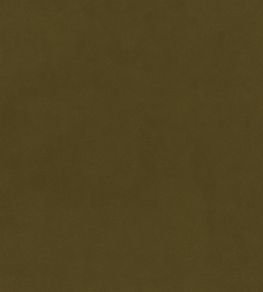 Plush Velvet FR Fabric by Warwick Cedar