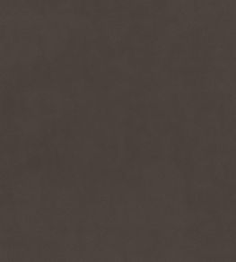 Plush Velvet FR Fabric by Warwick Cinder