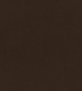 Plush Velvet FR Fabric by Warwick Cocoa Plush Velvet FR Fabric by Warwick Cocoa