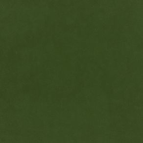 Plush Velvet Fabric by Warwick Conifer