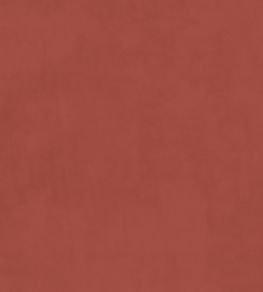 Plush Velvet Fabric by Warwick Coral