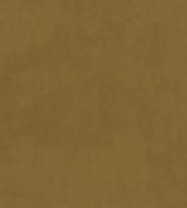 Plush Velvet Fabric by Warwick Dijon Plush Velvet Fabric by Warwick Dijon