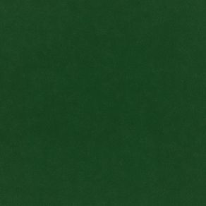 Plush Velvet Fabric by Warwick Evergreen