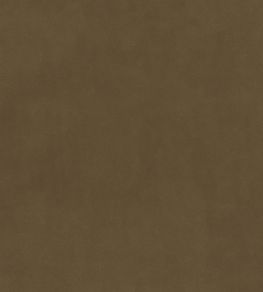 Plush Velvet FR Fabric by Warwick Fennel Plush Velvet FR Fabric by Warwick Fennel