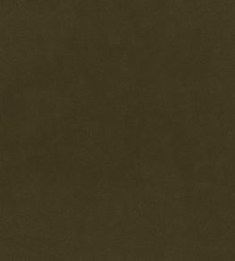 Plush Velvet FR Fabric by Warwick Forage