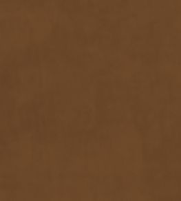 Plush Velvet FR Fabric by Warwick Gingernut Plush Velvet FR Fabric by Warwick Gingernut