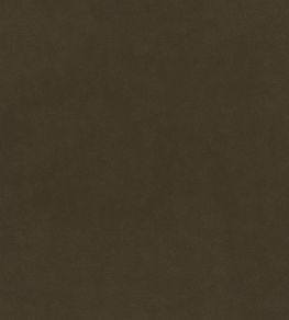 Plush Velvet Fabric by Warwick Poplar Plush Velvet Fabric by Warwick Poplar