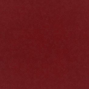Plush Velvet Fabric by Warwick Rouge