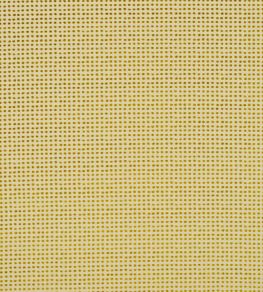 Polka Fabric by Harlequin Mustard Neutral Polka Fabric by Harlequin Mustard Neutral