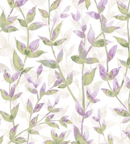 Pomponette Wallpaper by Ohpopsi Heather Asparagus Pomponette Wallpaper by Ohpopsi Heather Asparagus