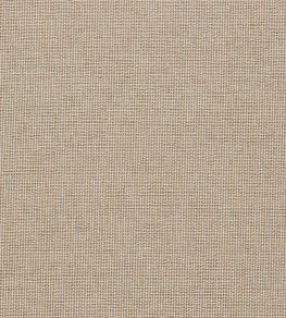Pontus Fabric by Clarke & Clarke Sahara