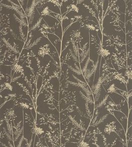 Prairie Wallpaper by Casadeco Noir Fusain / Ocre