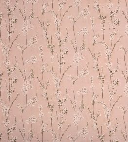 Almond Blossom Fabric by Prestigious Textiles Posey Almond Blossom Fabric by Prestigious Textiles Posey
