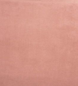 Belgravia Fabric by Prestigious Textiles Petal