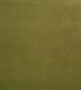 Belgravia Fabric by Prestigious Textiles Leaf Belgravia Fabric by Prestigious Textiles Leaf