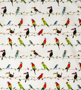 Toucan Talk Fabric by Prestigious Textiles Paintbox Toucan Talk Fabric by Prestigious Textiles Paintbox