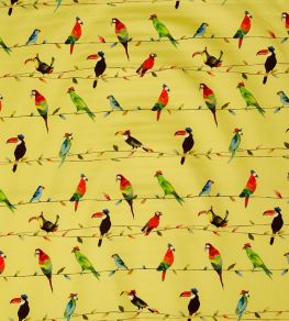 Toucan Talk Fabric by Prestigious Textiles Zest