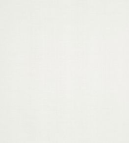 Tussah Fabric by Prestigious Textiles Ivory