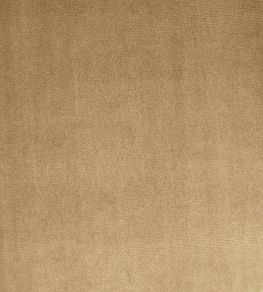 Velour Fabric by Prestigious Textiles Mink Velour Fabric by Prestigious Textiles Mink
