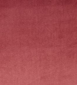 Velour Fabric by Prestigious Textiles Rosebud Velour Fabric by Prestigious Textiles Rosebud