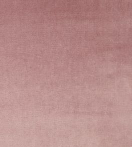 Velour Fabric by Prestigious Textiles Petal
