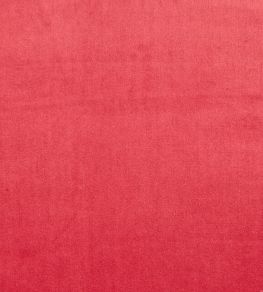 Velour Fabric by Prestigious Textiles Fuchsia Velour Fabric by Prestigious Textiles Fuchsia