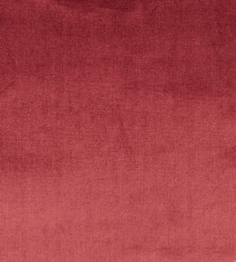 Velour Fabric by Prestigious Textiles Damson Velour Fabric by Prestigious Textiles Damson